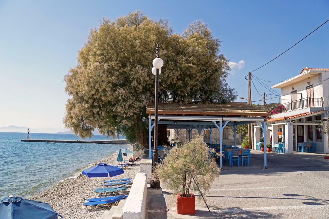 Enalion Studios Κουμέικα Εξωτερικό φωτογραφία